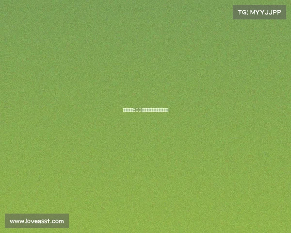 国际羽联500赛事、国际羽联官网排名